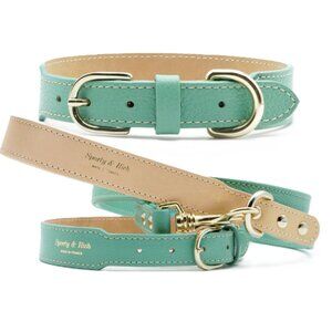 Blue and Tan Leather Dog Collar and Leash With Adjustable Hardware